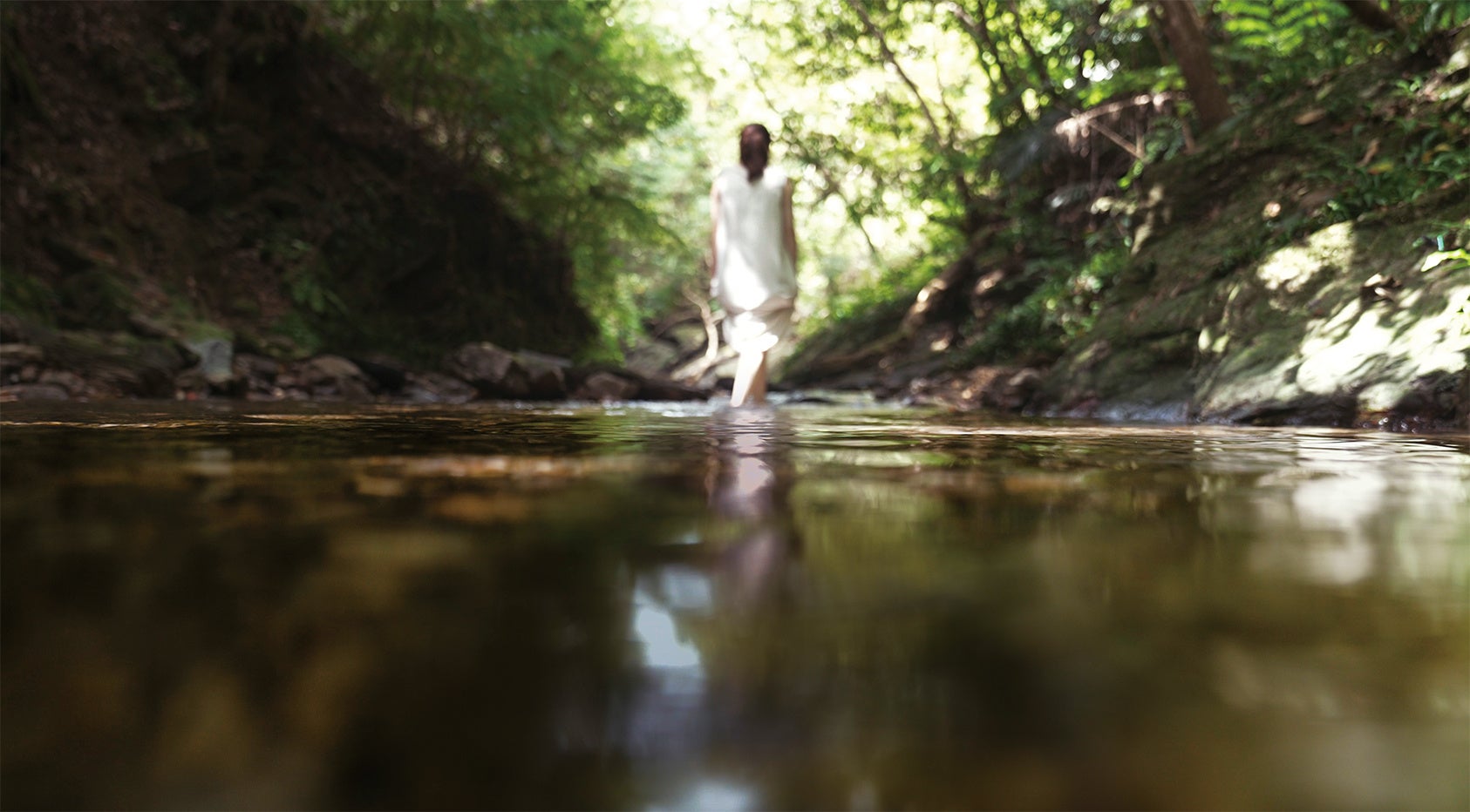 医療脱毛専門院「エルプラスクリニック」がTVCM「WATER」編の放映を開始のサブ画像1